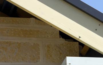 soffit repair Minnigaff